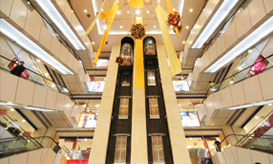 Panoramic Elevators Manufacturers